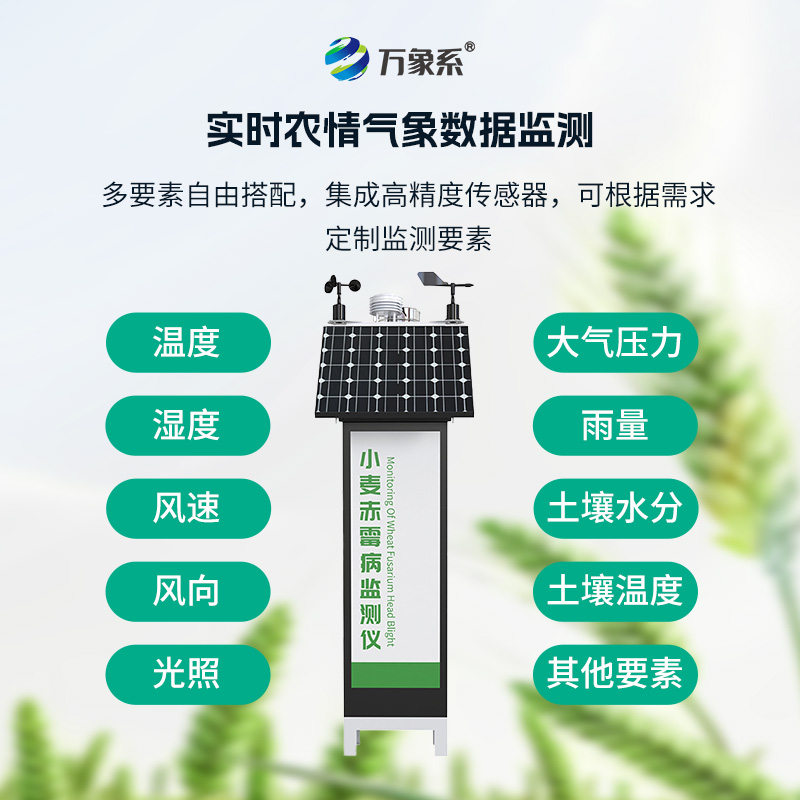 小麥赤霉病監(jiān)測(cè)儀在麥田中的作用