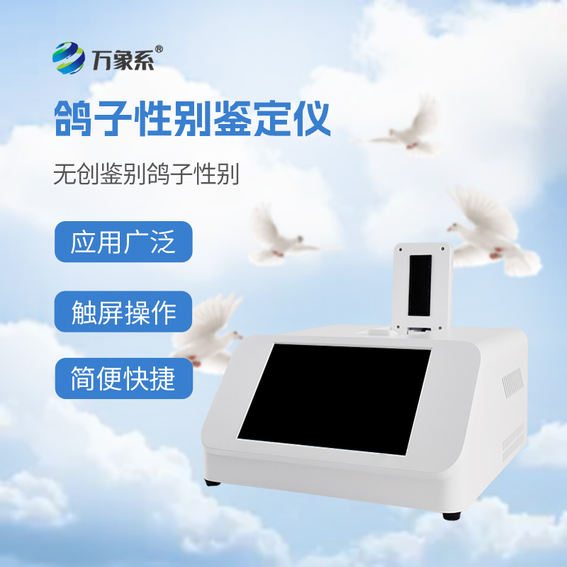 鴿子性別測定儀:鴿子屆“性別偵探”