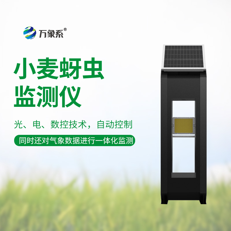 小麥蚜蟲在線監(jiān)測系統(tǒng)，綠色防控助力小麥優(yōu)質(zhì)生長